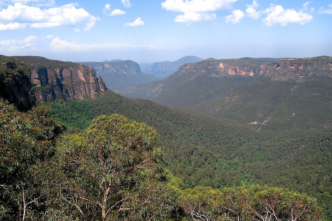 A valley view in the Blue Mountains, New South Wales