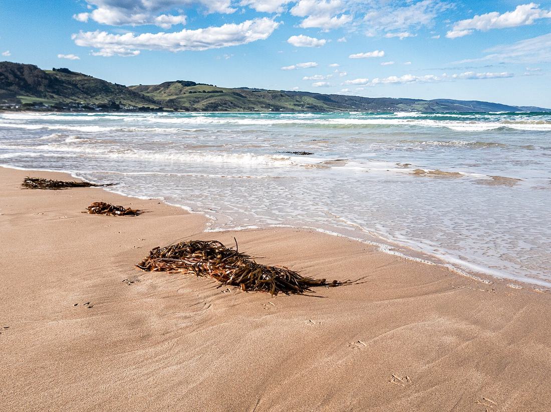 Apollo Bay beach and headland in Victoria